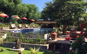 Villa Anjing 2